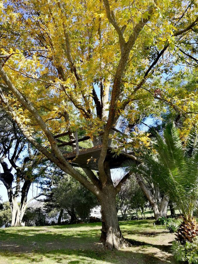 דירות פרנצ'הוק Le Arc Manor House מראה חיצוני תמונה
